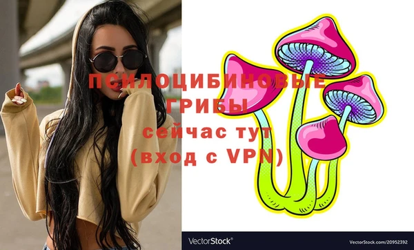 Альфа ПВП Богданович