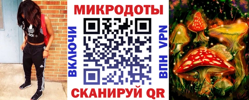 где можно купить   Саранск  Псилоцибиновые грибы GOLDEN TEACHER 