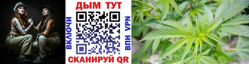 Марихуана гибрид Саранск